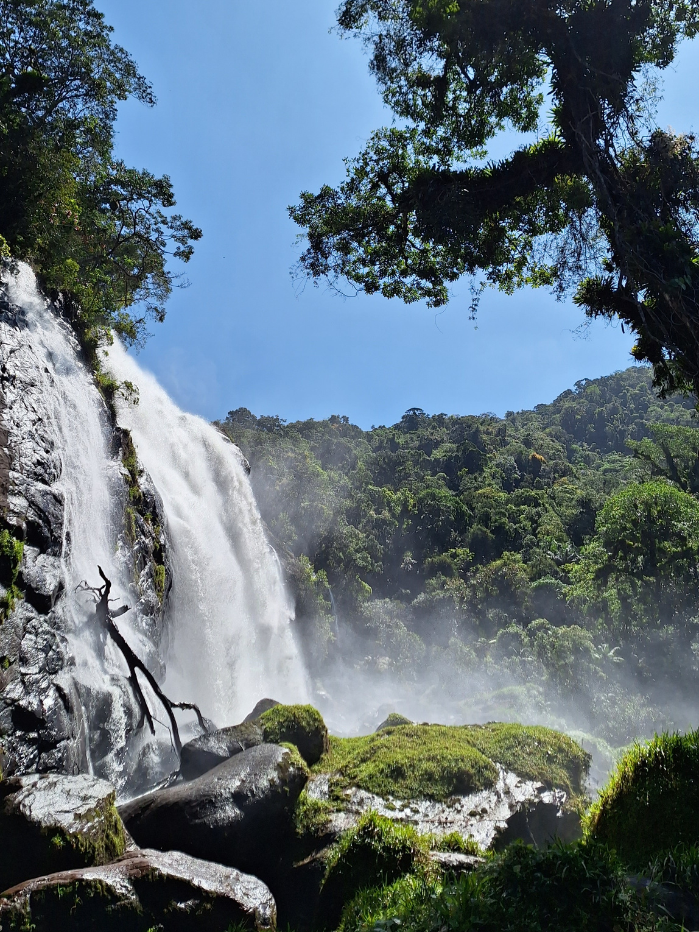 4CACHOEIRA ELEFANTE