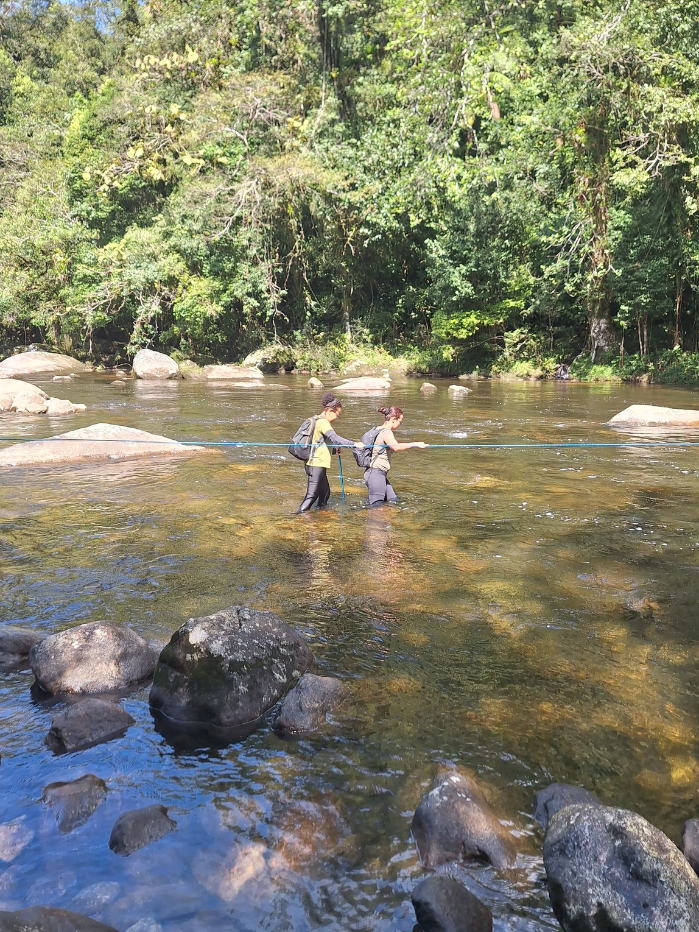 9CACHOEIRA ELEFANTE