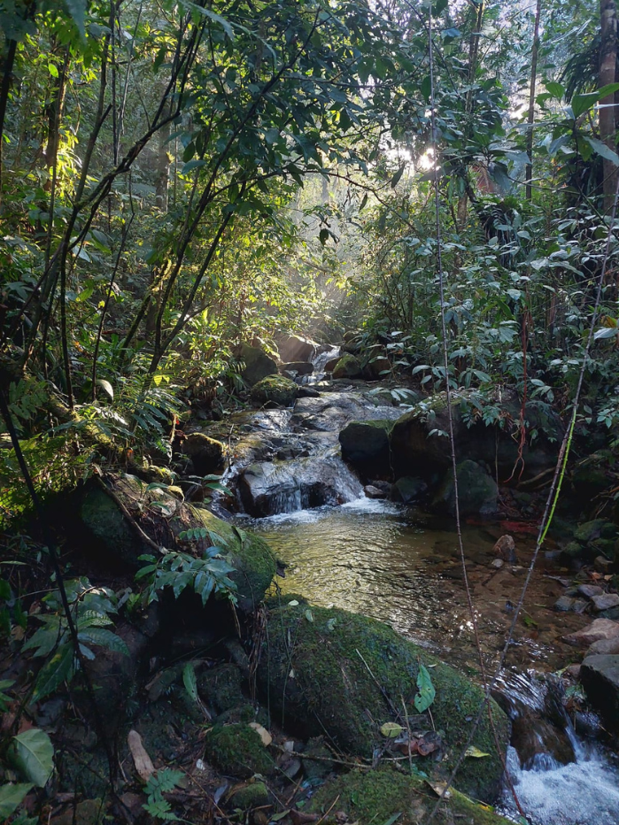 Cachoeira da Água Branca Ubatuba (14)