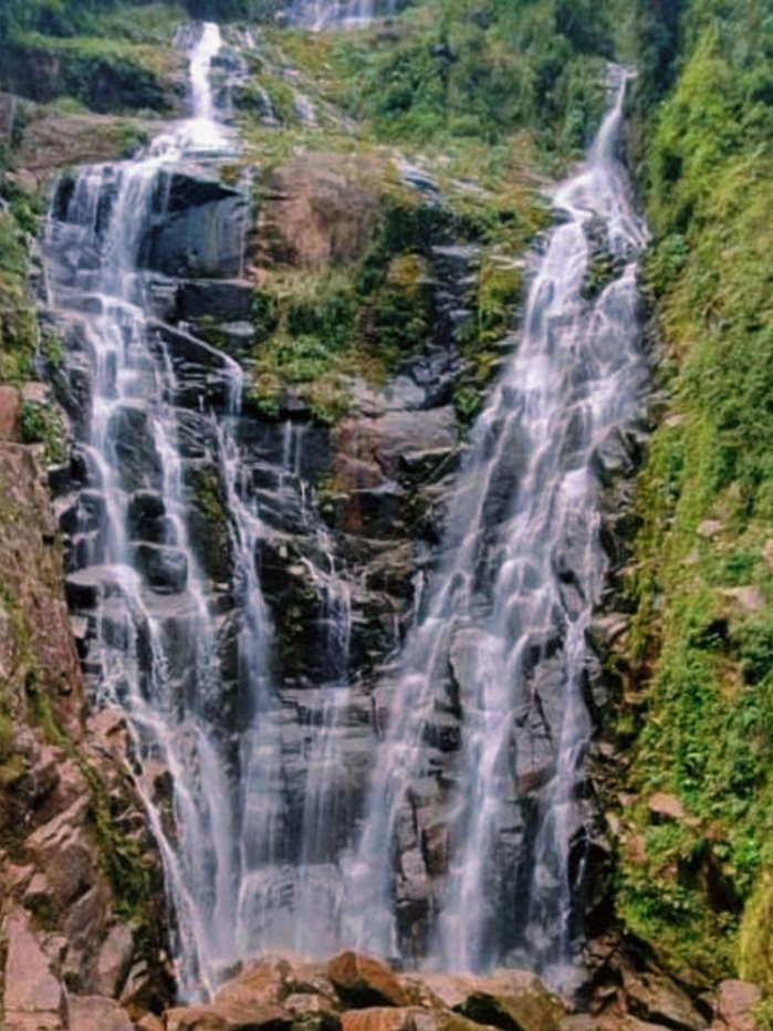 Cachoeira da Água Branca Ubatuba (6)