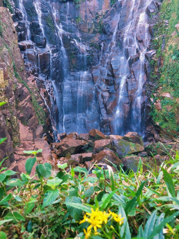 Cachoeira da Água Branca Ubatuba (8)