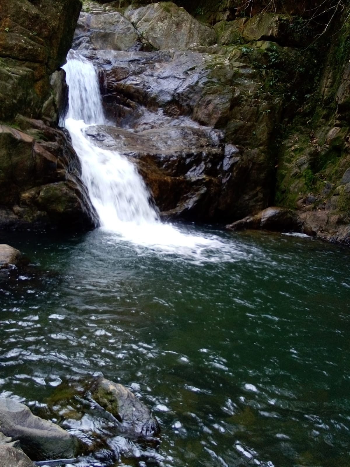 7c741e03-9b51-498c-92e4-7b7c7881be1b