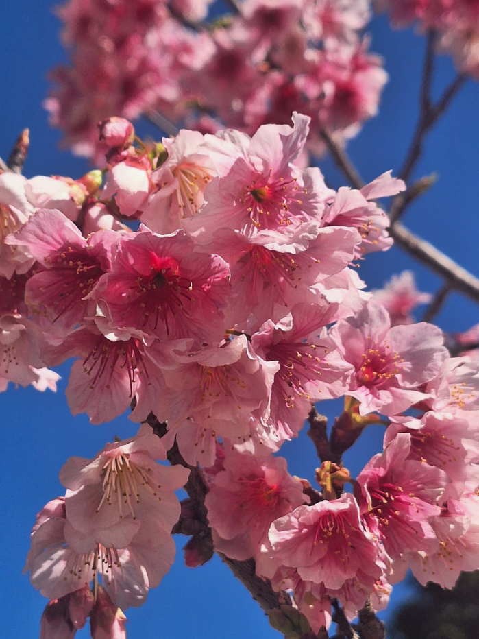 46