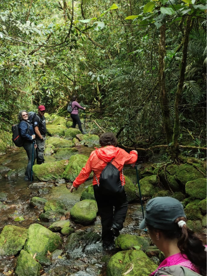 cachoeira-camburi-nucleo-curucutu-serra-do-mar0