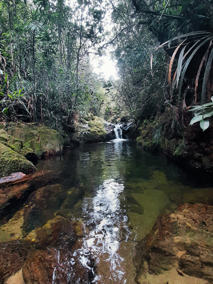 cachoeira-camburi-serra-do-mar-nucleo-curucutu4