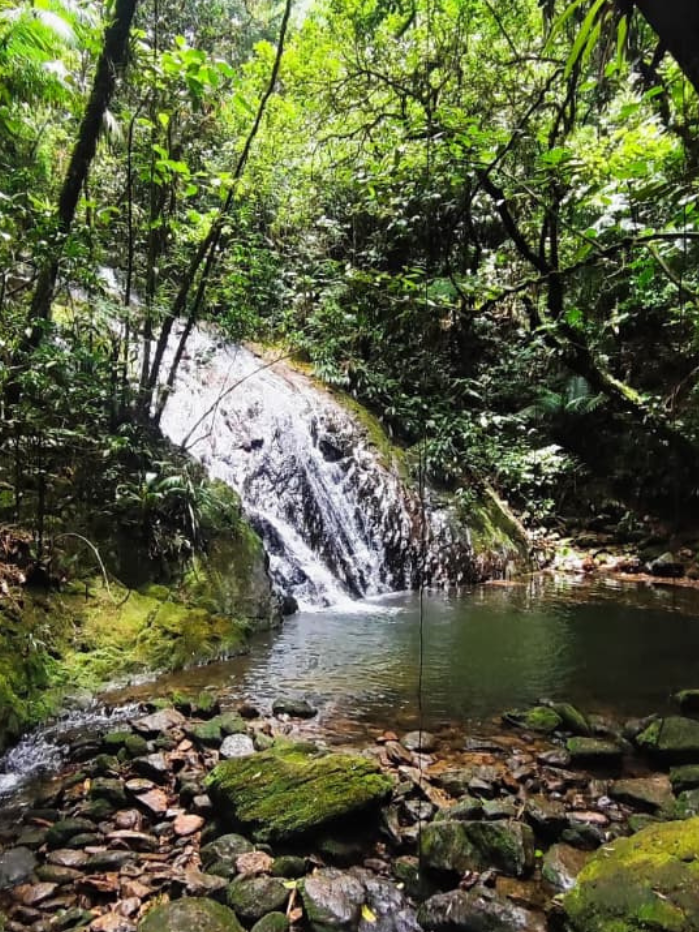cachoeira-camburi-serra-do-mar-nucleo-curucutu6