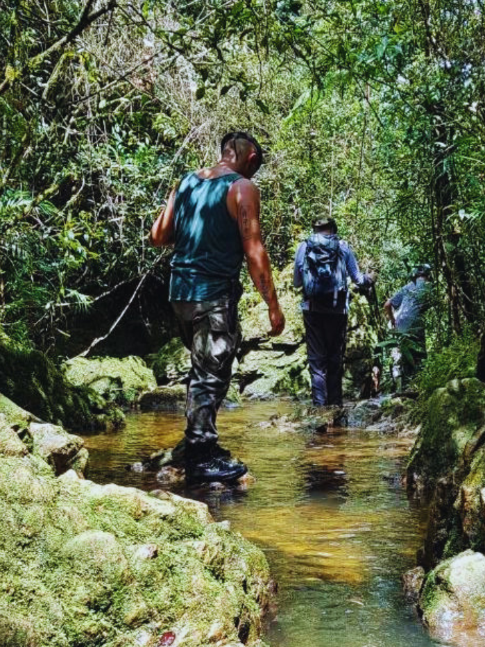 cachoeira-camburi-serra-do-mar-nucleo-curucutu7