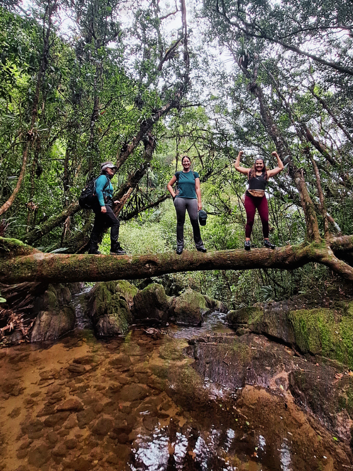 cachoeira-camburi-serra-do-mar-nucleo-curucutu8