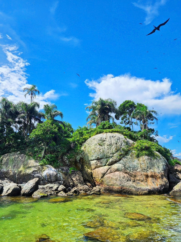ilha-do-guarau-passeio-de-barco8