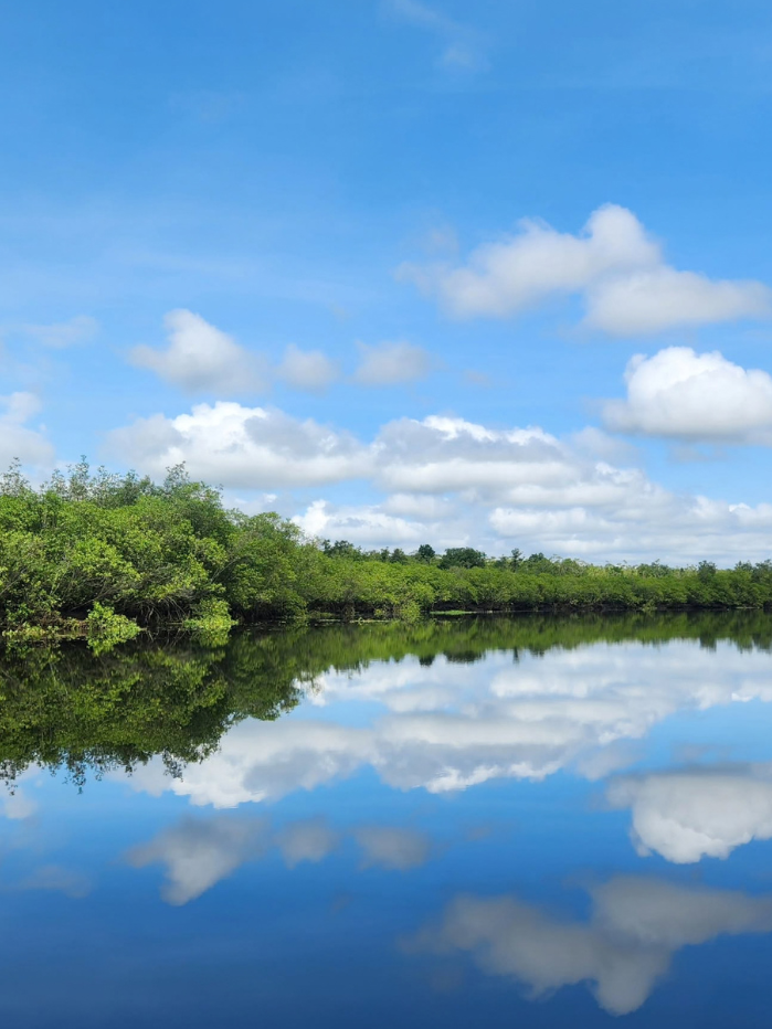 rio-guarau